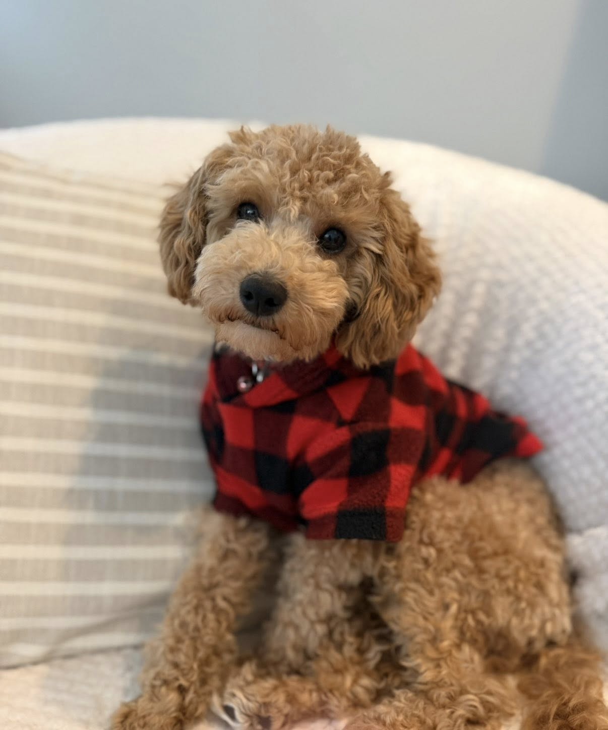 Maya in a plaid shirt